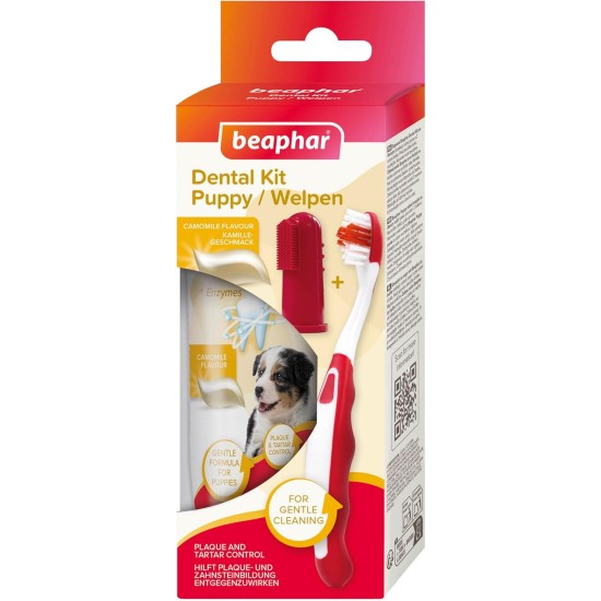 BEAPHAR - Dental Care Set for Puppies - With Liver Flavour - Toothbrush, Finger Toothbrush and Toothpaste - Set of 2 Toothbrushes + 50 g Toothpaste BEAPHAR - Dental Care Set for Puppies - With Liver Flavour - Toothbrush, Finger Toothbrush and Toothpaste - Set of 2 Toothbrushes + 50 g Toothpaste