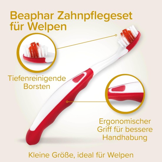 BEAPHAR - Dental Care Set for Puppies - With Liver Flavour - Toothbrush, Finger Toothbrush and Toothpaste - Set of 2 Toothbrushes + 50 g Toothpaste BEAPHAR - Dental Care Set for Puppies - With Liver Flavour - Toothbrush, Finger Toothbrush and Toothpaste - Set of 2 Toothbrushes + 50 g Toothpaste