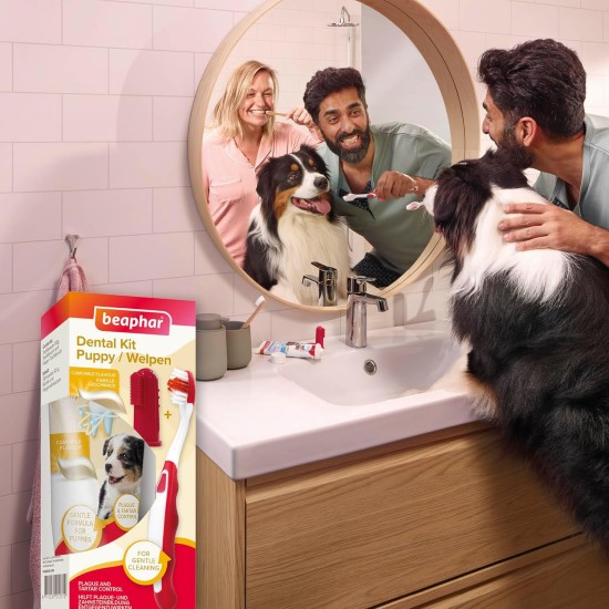 BEAPHAR - Dental Care Set for Puppies - With Liver Flavour - Toothbrush, Finger Toothbrush and Toothpaste - Set of 2 Toothbrushes + 50 g Toothpaste BEAPHAR - Dental Care Set for Puppies - With Liver Flavour - Toothbrush, Finger Toothbrush and Toothpaste - Set of 2 Toothbrushes + 50 g Toothpaste