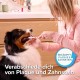 BEAPHAR - Toothbrush for dogs and cats - Removes plaque - Thorough cleaning - Double head toothbrush - Special bristle cut - Ergonomic handle BEAPHAR - Toothbrush for dogs and cats - Removes plaque - Thorough cleaning - Double head toothbrush - Special bristle cut - Ergonomic handle