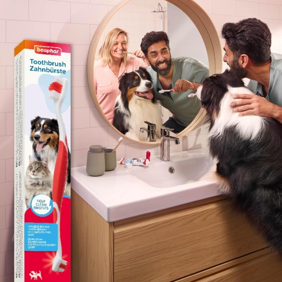 BEAPHAR - Toothbrush for dogs and cats - Removes plaque - Thorough cleaning - Double head toothbrush - Special bristle cut - Ergonomic handle BEAPHAR - Toothbrush for dogs and cats - Removes plaque - Thorough cleaning - Double head toothbrush - Special bristle cut - Ergonomic handle
