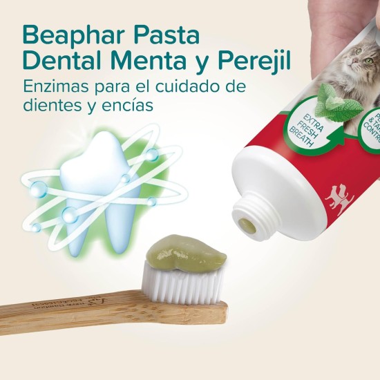 BEAPHAR - Toothpaste for dogs and cats - protects against plaque and tartar - with peppermint and parsley for fresh breath - without fluorides - 100 g BEAPHAR - Toothpaste for dogs and cats - protects against plaque and tartar - with peppermint and parsley for fresh breath - without fluorides - 100 g