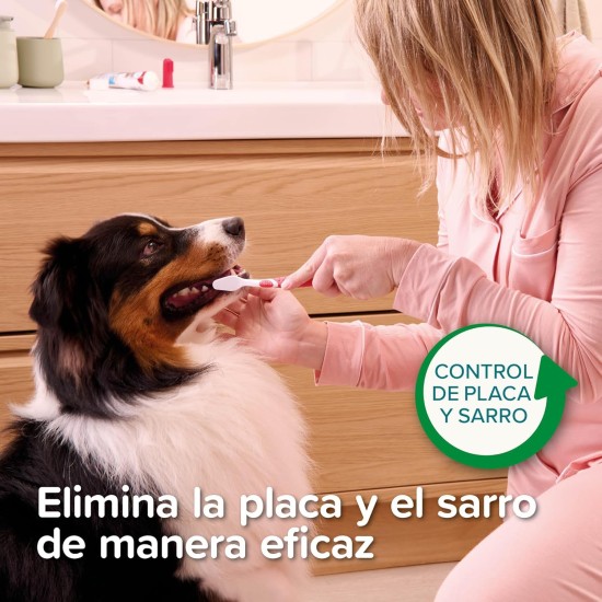 BEAPHAR - Toothpaste for dogs and cats - protects against plaque and tartar - with peppermint and parsley for fresh breath - without fluorides - 100 g BEAPHAR - Toothpaste for dogs and cats - protects against plaque and tartar - with peppermint and parsley for fresh breath - without fluorides - 100 g