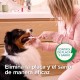 BEAPHAR - Toothpaste for dogs and cats - protects against plaque and tartar - with peppermint and parsley for fresh breath - without fluorides - 100 g BEAPHAR - Toothpaste for dogs and cats - protects against plaque and tartar - with peppermint and parsley for fresh breath - without fluorides - 100 g