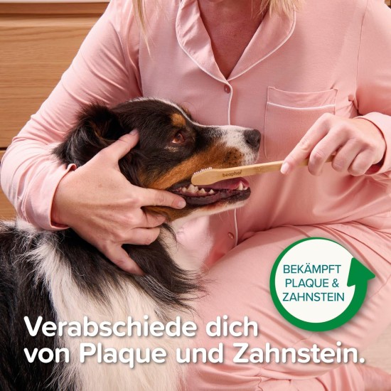 Beaphar - Bamboo Toothbrush for Dogs and Cats - Dual Head for Small and Large Teeth - Protection Against Caries, Tartar and Plaque - Fresh Breath - Sustainable Alternative Beaphar - Bamboo Toothbrush for Dogs and Cats - Dual Head for Small and Large Teeth - Protection Against Caries, Tartar and Plaque - Fresh Breath - Sustainable Alternative