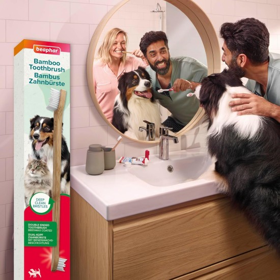 Beaphar - Bamboo Toothbrush for Dogs and Cats - Dual Head for Small and Large Teeth - Protection Against Caries, Tartar and Plaque - Fresh Breath - Sustainable Alternative Beaphar - Bamboo Toothbrush for Dogs and Cats - Dual Head for Small and Large Teeth - Protection Against Caries, Tartar and Plaque - Fresh Breath - Sustainable Alternative