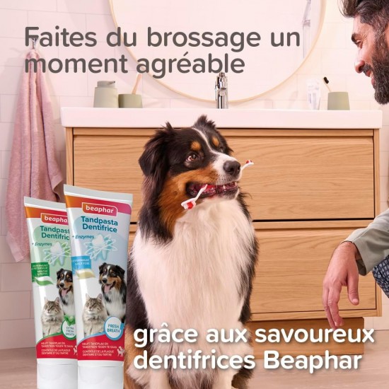 Beaphar Bamboo Toothbrush - Double-Sided Brush for Dogs and Cats - Pack of 1 Beaphar Bamboo Toothbrush - Double-Sided Brush for Dogs and Cats - Pack of 1
