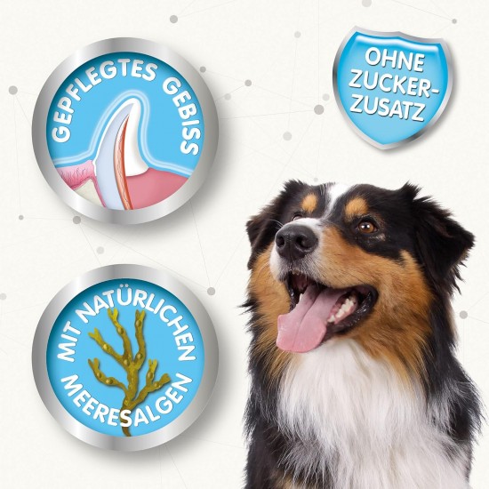 Beaphar Dental Care Sticks - For Large Dogs - Dental Care Snack - With Natural Seaweed - No Added Sugar - 7 Pieces, 182 g (Pack of 1) Beaphar Dental Care Sticks - For Large Dogs - Dental Care Snack - With Natural Seaweed - No Added Sugar - 7 Pieces, 182 g (Pack of 1)