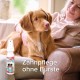 Beaphar Toothpaste for Dogs and Cats, Protects against Plaque and Tartar, with Liver Flavour, without Fluorides, 100 G Beaphar Toothpaste for Dogs and Cats, Protects against Plaque and Tartar, with Liver Flavour, without Fluorides, 100 G