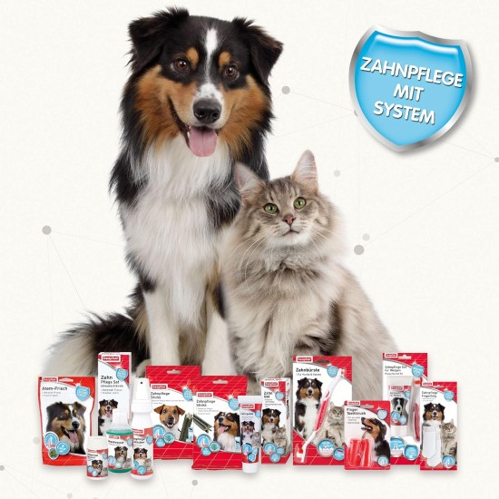 Beaphar Toothpaste for Dogs and Cats, Protects against Plaque and Tartar, with Liver Flavour, without Fluorides, 100 G Beaphar Toothpaste for Dogs and Cats, Protects against Plaque and Tartar, with Liver Flavour, without Fluorides, 100 G