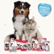 Beaphar Toothpaste for Dogs and Cats, Protects against Plaque and Tartar, with Liver Flavour, without Fluorides, 100 G Beaphar Toothpaste for Dogs and Cats, Protects against Plaque and Tartar, with Liver Flavour, without Fluorides, 100 G