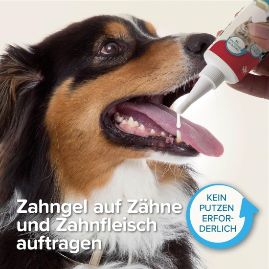 Beaphar Toothpaste for Dogs and Cats, Protects against Plaque and Tartar, with Liver Flavour, without Fluorides, 100 G Beaphar Toothpaste for Dogs and Cats, Protects against Plaque and Tartar, with Liver Flavour, without Fluorides, 100 G