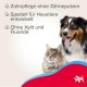 Beaphar Toothpaste for Dogs and Cats, Protects against Plaque and Tartar, with Liver Flavour, without Fluorides, 100 G Beaphar Toothpaste for Dogs and Cats, Protects against Plaque and Tartar, with Liver Flavour, without Fluorides, 100 G