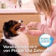 Beaphar Toothpaste for Dogs and Cats, Protects against Plaque and Tartar, with Liver Flavour, without Fluorides, 100 G Beaphar Toothpaste for Dogs and Cats, Protects against Plaque and Tartar, with Liver Flavour, without Fluorides, 100 G