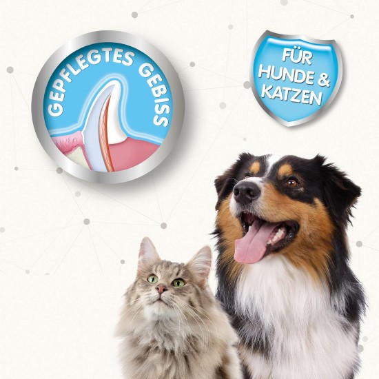 Beaphar Toothpaste for Dogs and Cats, Protects against Plaque and Tartar, with Liver Flavour, without Fluorides, 100 G Beaphar Toothpaste for Dogs and Cats, Protects against Plaque and Tartar, with Liver Flavour, without Fluorides, 100 G