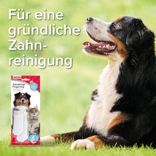 Beaphar Toothpaste for Dogs and Cats, Protects against Plaque and Tartar, with Liver Flavour, without Fluorides, 100 G Beaphar Toothpaste for Dogs and Cats, Protects against Plaque and Tartar, with Liver Flavour, without Fluorides, 100 G