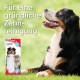 Beaphar Toothpaste for Dogs and Cats, Protects against Plaque and Tartar, with Liver Flavour, without Fluorides, 100 G Beaphar Toothpaste for Dogs and Cats, Protects against Plaque and Tartar, with Liver Flavour, without Fluorides, 100 G