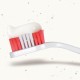 Beaphar Toothpaste for Dogs and Cats, Protects against Plaque and Tartar, with Liver Flavour, without Fluorides, 100 G Beaphar Toothpaste for Dogs and Cats, Protects against Plaque and Tartar, with Liver Flavour, without Fluorides, 100 G