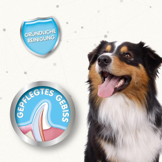 Beaphar Toothpaste for Dogs and Cats, Protects against Plaque and Tartar, with Liver Flavour, without Fluorides, 100 G Beaphar Toothpaste for Dogs and Cats, Protects against Plaque and Tartar, with Liver Flavour, without Fluorides, 100 G