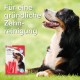 Beaphar Toothpaste for Dogs and Cats, Protects against Plaque and Tartar, with Liver Flavour, without Fluorides, 100 G Beaphar Toothpaste for Dogs and Cats, Protects against Plaque and Tartar, with Liver Flavour, without Fluorides, 100 G