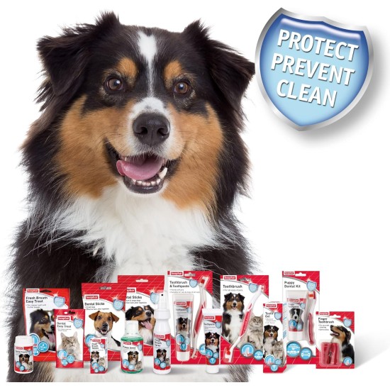 Beaphar Toothpaste for Dogs and Cats, Protects against Plaque and Tartar, with Liver Flavour, without Fluorides, 100 G Beaphar Toothpaste for Dogs and Cats, Protects against Plaque and Tartar, with Liver Flavour, without Fluorides, 100 G