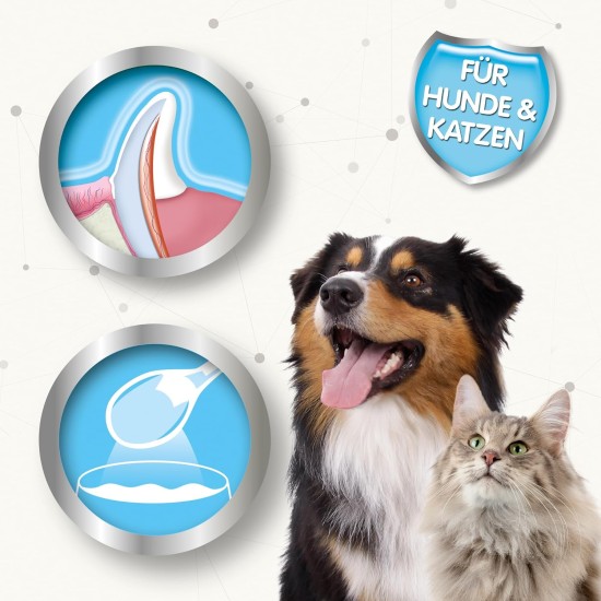 Beaphar Toothpaste for Dogs and Cats, Protects against Plaque and Tartar, with Liver Flavour, without Fluorides, 100 G Beaphar Toothpaste for Dogs and Cats, Protects against Plaque and Tartar, with Liver Flavour, without Fluorides, 100 G
