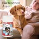 Beaphar Toothpaste for Dogs and Cats, Protects against Plaque and Tartar, with Liver Flavour, without Fluorides, 100 G Beaphar Toothpaste for Dogs and Cats, Protects against Plaque and Tartar, with Liver Flavour, without Fluorides, 100 G