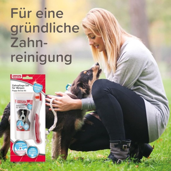 Beaphar Toothpaste for Dogs and Cats, Protects against Plaque and Tartar, with Liver Flavour, without Fluorides, 100 G Beaphar Toothpaste for Dogs and Cats, Protects against Plaque and Tartar, with Liver Flavour, without Fluorides, 100 G