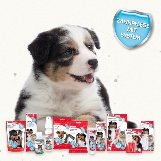 Beaphar Toothpaste for Dogs and Cats, Protects against Plaque and Tartar, with Liver Flavour, without Fluorides, 100 G Beaphar Toothpaste for Dogs and Cats, Protects against Plaque and Tartar, with Liver Flavour, without Fluorides, 100 G