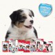 Beaphar Toothpaste for Dogs and Cats, Protects against Plaque and Tartar, with Liver Flavour, without Fluorides, 100 G Beaphar Toothpaste for Dogs and Cats, Protects against Plaque and Tartar, with Liver Flavour, without Fluorides, 100 G