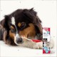 Beaphar Toothpaste for Dogs and Cats, Protects against Plaque and Tartar, with Liver Flavour, without Fluorides, 100 G Beaphar Toothpaste for Dogs and Cats, Protects against Plaque and Tartar, with Liver Flavour, without Fluorides, 100 G