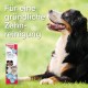 Beaphar Toothpaste for Dogs and Cats, Protects against Plaque and Tartar, with Liver Flavour, without Fluorides, 100 G Beaphar Toothpaste for Dogs and Cats, Protects against Plaque and Tartar, with Liver Flavour, without Fluorides, 100 G