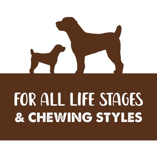 BetterBones - Soft Dog Chew Snack - Raw Skin Coiled Bone with Lamb and Mint - 7.5cm - 24 Pack BetterBones - Soft Dog Chew Snack - Raw Skin Coiled Bone with Lamb and Mint - 7.5cm - 24 Pack