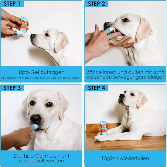 Bogar AG Bogadent Dental Lipo Gel for Dogs, 100 ml Bogar AG Bogadent Dental Lipo Gel for Dogs, 100 ml