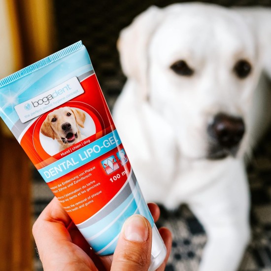 Bogar AG Bogadent Dental Lipo Gel for Dogs, 100 ml Bogar AG Bogadent Dental Lipo Gel for Dogs, 100 ml