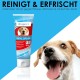 Bogar AG Bogadent Dental Lipo Gel for Dogs, 100 ml Bogar AG Bogadent Dental Lipo Gel for Dogs, 100 ml