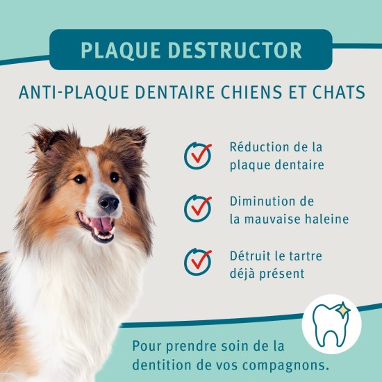 Bubimex Destructor Toothpaste for Dogs - 80g Bubimex Destructor Toothpaste for Dogs - 80g