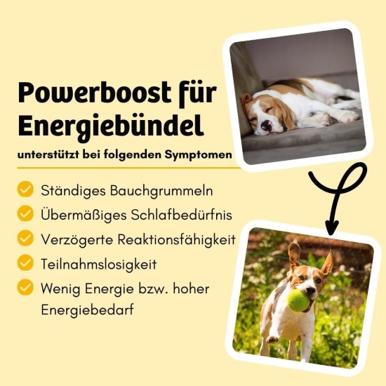 BugBell Grain-Free Dog Snack for Bones & Joints 60 g, for Osteoarthritis, Patella Luxation, with Green-Lipped Mussel & Spirulina & Willow Bark & Devil's Claw BugBell Grain-Free Dog Snack for Bones & Joints 60 g, for Osteoarthritis, Patella Luxation, with Green-Lipped Mussel & Spirulina & Willow Bark & Devil's Claw