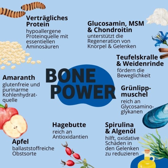 BugBell Grain-Free Dog Snack for Bones & Joints 60 g, for Osteoarthritis, Patella Luxation, with Green-Lipped Mussel & Spirulina & Willow Bark & Devil's Claw BugBell Grain-Free Dog Snack for Bones & Joints 60 g, for Osteoarthritis, Patella Luxation, with Green-Lipped Mussel & Spirulina & Willow Bark & Devil's Claw