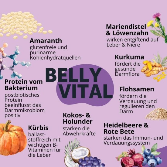 BugBell Grain-Free Dog Snack for Bones & Joints 60 g, for Osteoarthritis, Patella Luxation, with Green-Lipped Mussel & Spirulina & Willow Bark & Devil's Claw BugBell Grain-Free Dog Snack for Bones & Joints 60 g, for Osteoarthritis, Patella Luxation, with Green-Lipped Mussel & Spirulina & Willow Bark & Devil's Claw