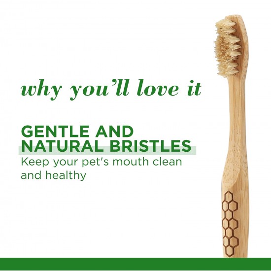 Burt's Bees for Dogs Bamboo Bristles Dog Toothbrush Natural Bamboo Dog Toothbrush BPA Free Ergonomic Handle Toothbrush for Dogs Bamboo Dog Toothbrush Burt's Bees for Dogs Bamboo Bristles Dog Toothbrush Natural Bamboo Dog Toothbrush BPA Free Ergonomic Handle Toothbrush for Dogs Bamboo Dog Toothbrush