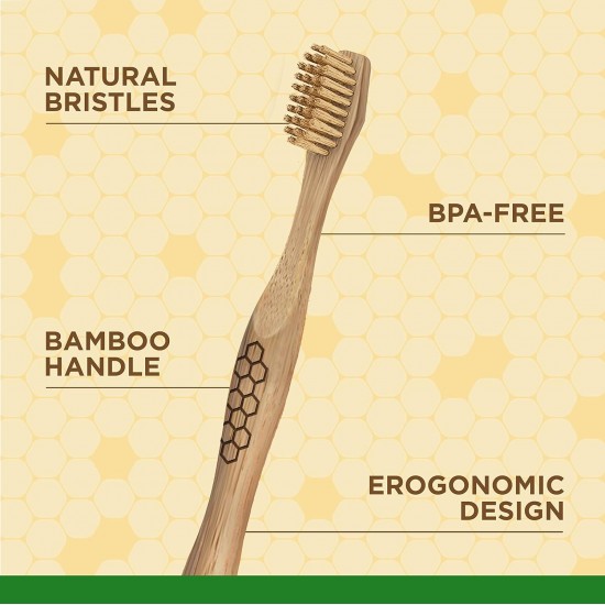 Burt's Bees for Dogs Bamboo Bristles Dog Toothbrush Natural Bamboo Dog Toothbrush BPA Free Ergonomic Handle Toothbrush for Dogs Bamboo Dog Toothbrush Burt's Bees for Dogs Bamboo Bristles Dog Toothbrush Natural Bamboo Dog Toothbrush BPA Free Ergonomic Handle Toothbrush for Dogs Bamboo Dog Toothbrush