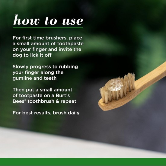 Burt's Bees for Dogs Bamboo Bristles Dog Toothbrush Natural Bamboo Dog Toothbrush BPA Free Ergonomic Handle Toothbrush for Dogs Bamboo Dog Toothbrush Burt's Bees for Dogs Bamboo Bristles Dog Toothbrush Natural Bamboo Dog Toothbrush BPA Free Ergonomic Handle Toothbrush for Dogs Bamboo Dog Toothbrush