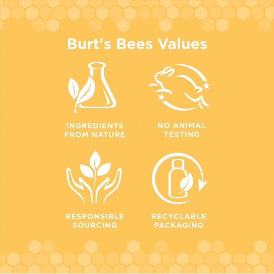 Burt's Bees for Dogs Bamboo Bristles Dog Toothbrush Natural Bamboo Dog Toothbrush BPA Free Ergonomic Handle Toothbrush for Dogs Bamboo Dog Toothbrush Burt's Bees for Dogs Bamboo Bristles Dog Toothbrush Natural Bamboo Dog Toothbrush BPA Free Ergonomic Handle Toothbrush for Dogs Bamboo Dog Toothbrush