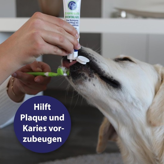 Canosept 3 Head Dog Toothbrush - Dog Toothbrush - Toothbrush for Dogs - Dog Toothbrush Dental Care Dog - Comfortable Tartar Remover Dog - Dog Dental Care - Tartar Dog - Bad Breath Dog Canosept 3 Head Dog Toothbrush - Dog Toothbrush - Toothbrush for Dogs - Dog Toothbrush Dental Care Dog - Comfortable Tartar Remover Dog - Dog Dental Care - Tartar Dog - Bad Breath Dog