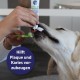 Canosept 3 Head Dog Toothbrush - Dog Toothbrush - Toothbrush for Dogs - Dog Toothbrush Dental Care Dog - Comfortable Tartar Remover Dog - Dog Dental Care - Tartar Dog - Bad Breath Dog Canosept 3 Head Dog Toothbrush - Dog Toothbrush - Toothbrush for Dogs - Dog Toothbrush Dental Care Dog - Comfortable Tartar Remover Dog - Dog Dental Care - Tartar Dog - Bad Breath Dog