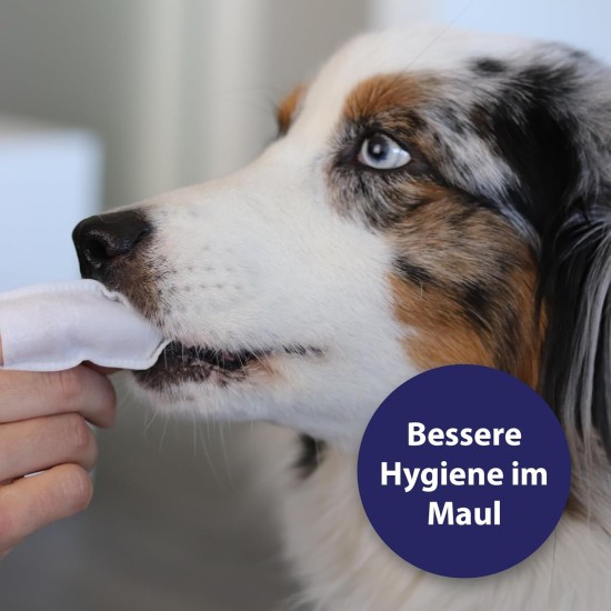 Canosept Dental Care Finger Pads for Dogs - Finger Pads for Effective Dental Cleaning, Oral Hygiene and Fresh Breath - Reduces Plaque Canosept Dental Care Finger Pads for Dogs - Finger Pads for Effective Dental Cleaning, Oral Hygiene and Fresh Breath - Reduces Plaque