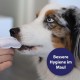 Canosept Dental Care Finger Pads for Dogs - Finger Pads for Effective Dental Cleaning, Oral Hygiene and Fresh Breath - Reduces Plaque Canosept Dental Care Finger Pads for Dogs - Finger Pads for Effective Dental Cleaning, Oral Hygiene and Fresh Breath - Reduces Plaque