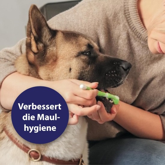 Canosept Dental Care Finger Pads for Dogs - Finger Pads for Effective Dental Cleaning, Oral Hygiene and Fresh Breath - Reduces Plaque Canosept Dental Care Finger Pads for Dogs - Finger Pads for Effective Dental Cleaning, Oral Hygiene and Fresh Breath - Reduces Plaque