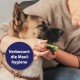 Canosept Dental Care Finger Pads for Dogs - Finger Pads for Effective Dental Cleaning, Oral Hygiene and Fresh Breath - Reduces Plaque Canosept Dental Care Finger Pads for Dogs - Finger Pads for Effective Dental Cleaning, Oral Hygiene and Fresh Breath - Reduces Plaque